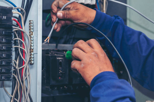 Best Electric Panel Repair  in Wilson, WY